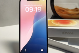 Apple 12