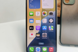 Apple 12