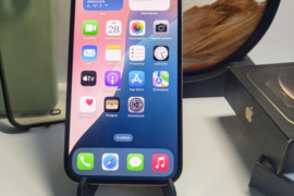 Apple 12 pro max