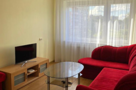  Tvarkingas, vieno kambario butas Dainavos rajone
