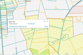 Parduodama žemės ūkio paskirties žemė Daunorių k., Biržų raj.
