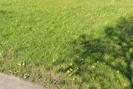 Alytaus r. sav., Švobiškės, Paupio g.