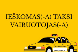 Darbas taksi vairuotojui (-ai)