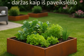 Corten Plieno Pakeltos Lysvės - Pakeliamos Lysvės