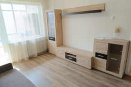 IŠNUOMOJAMAS TVARKINGAS 1K BUTAS VIRŠULIŠKESE