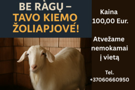 Kalnų ožys