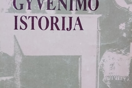 Vieno gyvenimo istorija