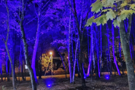 IŠNUOMOJAMAS KAMBARYS - DIRBANČIAM VYRUI VEIVERIŲ G. PRIE PARKO IR ''MAXIMA BAZĖS'' NUO GRUODŽIO 29 