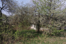  Vilnius- Molėtai plento 41 km., Pivoriūnų kaime parduodama sodyba su 3,003 ha. sklypu