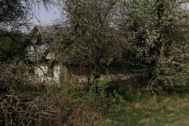  Vilnius- Molėtai plento 41 km., Pivoriūnų kaime parduodama sodyba su 3,003 ha. sklypu