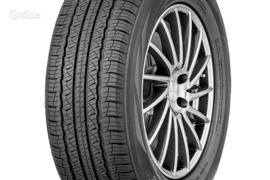 Triangle TR259 255/45R21 95Y XL, Vasarinės padangos