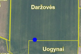 3.29 a sklypas Lazdijų r. sav., Naujoji Kirsna, Savanorių g.