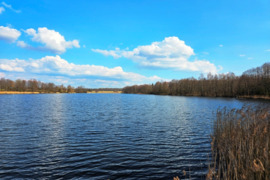 4,40 ha sklypas Milašaičio k. Ignalinos r.