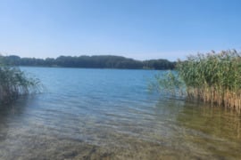 Pakrantė, sklypas ant ežero kranto, galima statyba pakrantė