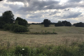 Pakrantė, sklypas ant ežer0 kranto, galima statyba