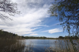 Parduodamas1,65 ha žemės ūkio paskirties sklypas ant Kazimieravos ežero kranto Molėtų rajone, Kazimi