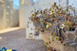 Namas su bendru baseinu, Alicante provincijoje, Torrevieja mieste, Los Balcones rajone. 5 kambariai 