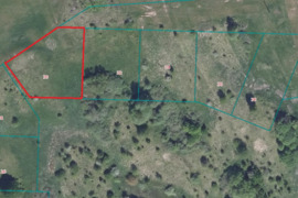 PARDUODAMAS 21 ARŲ NAMŲ VALDOS SKLYPAS  DAUGUOSE -ALYTAUS G. 30