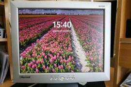 Monitorius HANSOL H530 15