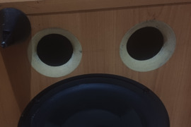 PSW1000 Subas SUBWOOFER  Kolonėlės, garsiakalbiai