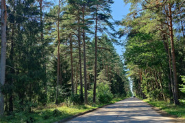 20 arų sklypas Monciškes, Palanga 800m. iki jūros
