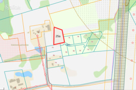 25.0 a sklypas Alytaus r. sav., Alytus