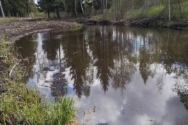 Parduodu 90 arų sklypą su tvenkiniu ir mišku Gailašiuose