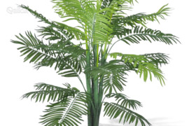 Dirbtinė Fenikso palmė, 130 cm, su vazonu