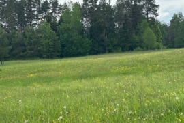 Parduodamas 0,3940 ha sklypas su giluminiais vandens gręžiniais – unikali galimybė verslui, investic