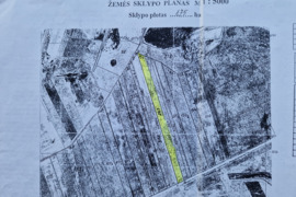 175 a sklypas Klaipėdos r. sav., Dovilai