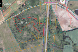 125.0 a sklypas Alytaus r. sav., Alytus, Kauno g.