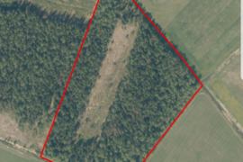 230 a sklypas Tauragės r. sav., Jucaičiai