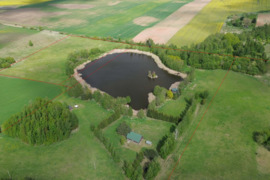 Namas Lazdijų r. sav., Vytautiškė, Dvaro g.