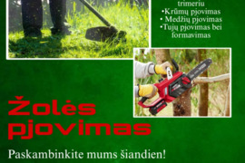 Žolės pjovimas