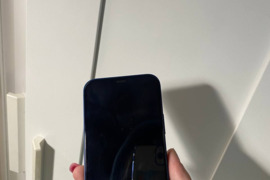 Apple 12