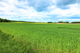 158 a sklypas Šalčininkų r. sav.