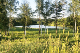 Nuo 6 a iki 50 a sklypą, Šalčininkų r. sav.
