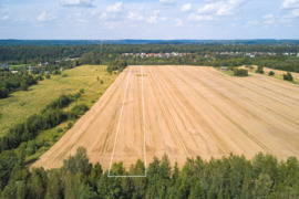 PARDUODAMAS 1 HA ŽEMĖS SKLYPAS ARTI ŠEŠUVOS UPĖS, VOS 15 MINUČIŲ KELIO NUO KAUNO MIESTO.