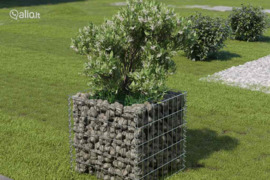 vidaXL Gabiono vazonas, galvanizuotas plienas, 50x50x50cm, aukštas