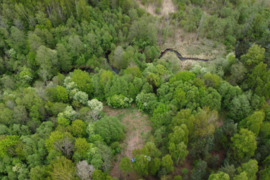 Parduodamas miškų ūkio 3.01 ha plotos sklypas Kauno raj.