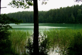 Parduodamas Aukštadvario regioniniame parke 1,73 ha sklypas 0.43 ha miško miško 91 m Spindžiaus ežer