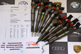 Kuro purkštukai Bmw-530d. 0445110131 ir 0445110080