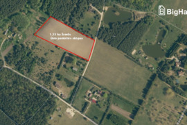 Agluonėnų km. šalia parko parduodamas 1,33 ha žemės sklypas