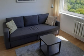 Buto nuoma, 1 kamb., Žirmūnuose prie upės