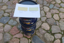 Vidaus sienų dažai