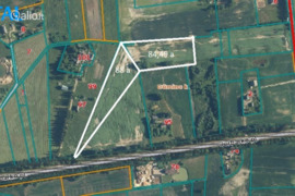 172.49 a sklypas Kauno r. sav., Lukšakaimis
