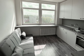 Vilnius, Naujamiestis, Algirdo g., 1 kambario butas