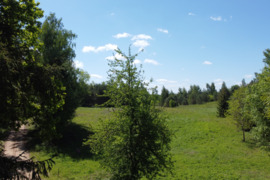 Du 0,8228 ir 0,746 ž.ū. paskirties sklypai 300 m. nuo Vabalių ežero