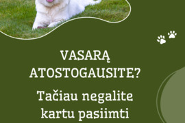 ŠUNŲ PRIEŽIŪROS PASLAUGOS