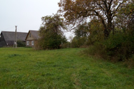 Namas Alytaus r. sav., Miklusėnai, Kauno g.